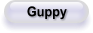 Guppy