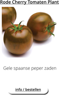 Rode Cherry Tomaten Plant Gele spaanse peper zaden  info / bestellen