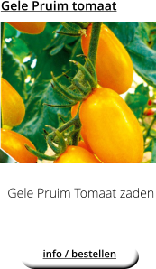 Gele Pruim tomaat Gele Pruim Tomaat zaden info / bestellen