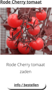 Rode Cherry tomaat Rode Cherry tomaat zaden info / bestellen