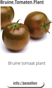 Bruine Tomaten Plant Bruine tomaat plant  info / bestellen