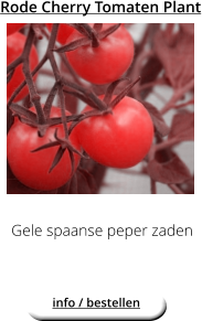 Rode Cherry Tomaten Plant Gele spaanse peper zaden  info / bestellen