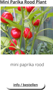 Mini Parika Rood Plant mini paprika rood  info / bestellen
